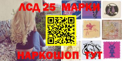 mdpv Заводоуковск
